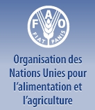 Logo ORGANISATION DES NATIONS UNIES POUR L'ALIMENTATION ET L'AGRICULTURE (FAO)