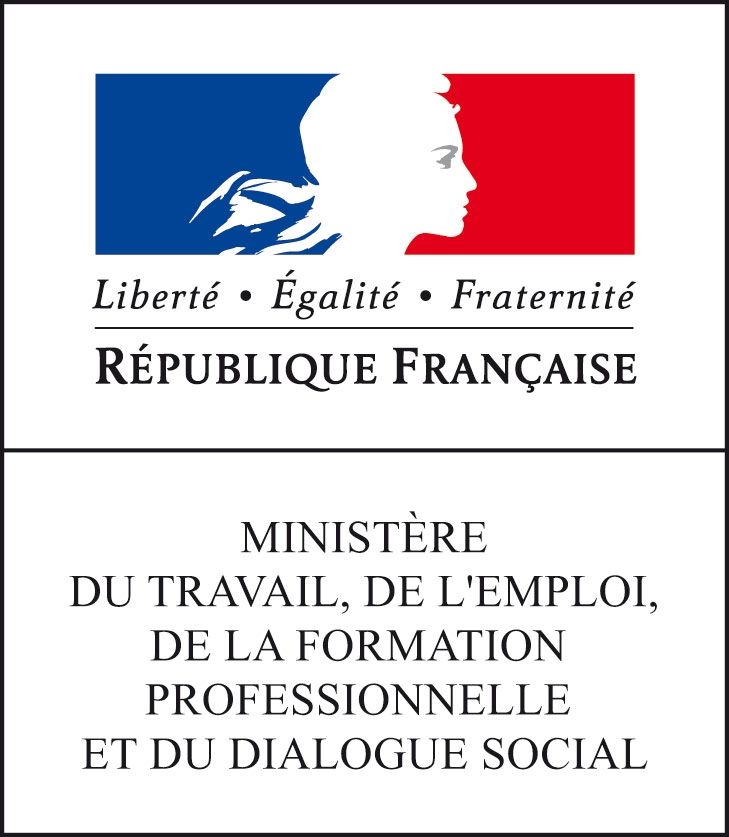 Logo MINISTÈRE DU TRAVAIL, DU PLEIN EMPLOI ET DE L'INSERTION